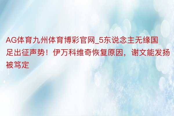 AG体育九州体育博彩官网_5东说念主无缘国足出征声势！伊万科维奇恢复原因，谢文能发扬被笃定